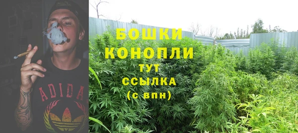 молекула духа Баксан